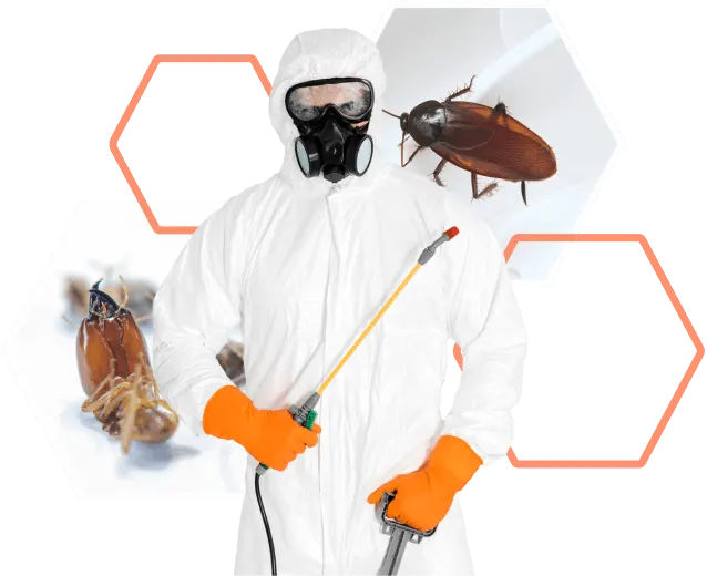 Dedetizadora-Ambiental-Servicos-Recife-orcamento